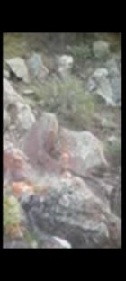 Screenshot_20240521_120553_Video Player.jpg