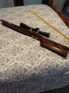 IMG_7172.jpeg