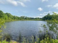 5-13-24 Pond breeze.jpeg