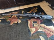 IMG_8370.jpeg IMG_8370.jpeg