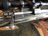 IMG_8367.jpeg