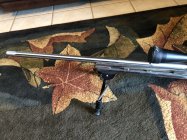 IMG_8369.jpeg