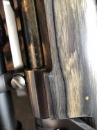 IMG_8372.jpeg