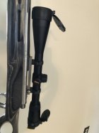 IMG_8381.jpeg