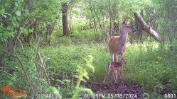 IMG_0858.jpeg