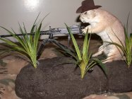 50 cal prairie dog ls copy.jpeg
