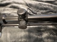 IMG_1341.jpeg