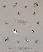 Bug shots.jpg
