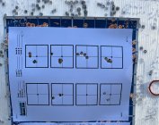 IMG_0485.jpeg