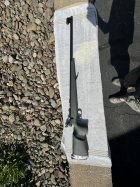 IMG_0361.jpeg