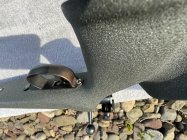 IMG_0373.jpeg