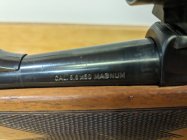 PXL_20240601_013531417.jpg PXL_20240601_013531417.jpg