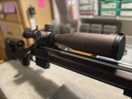 IMG_8438.jpeg