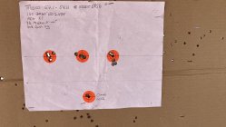 IMG_8736.jpeg