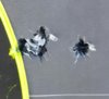 20170305_095152.jpg