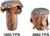 ELDX_mushrooms-1800-2660.jpg