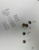 20170307_080917.jpg