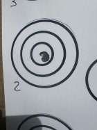 IMG_2459.jpeg
