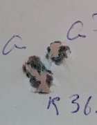 IMG_9789.jpeg