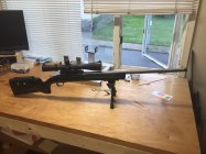IMG_1017.jpeg