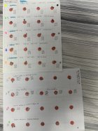 IMG_2279.jpeg