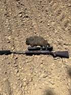 IMG_5951.jpeg
