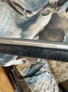 IMG_1785.jpeg