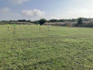 IMG_2882.jpeg