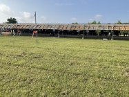 IMG_2883.jpeg