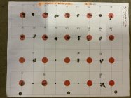 IMG_2284.jpeg