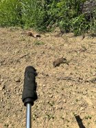 IMG_6013.jpeg