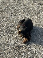 IMG_8534.jpeg