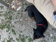 IMG_7672.jpeg