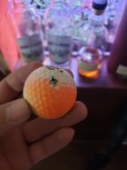 20240615_164800.jpg
