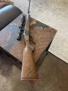 IMG_6737.jpeg