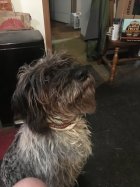 IMG_0885.jpeg