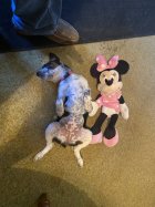 IMG_1222.jpeg