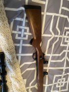 IMG_6803.jpeg
