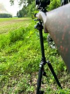 IMG_6029.jpeg