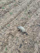 IMG_6040.jpeg