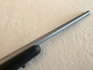 IMG_5115.jpeg