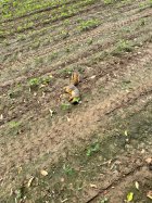 IMG_6060.jpeg