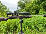 IMG_6050.jpeg