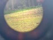 IMG_6037.jpeg