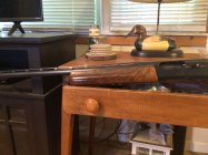 IMG_1041.jpeg