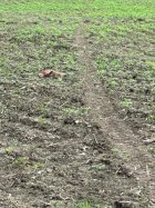 IMG_6068.jpeg