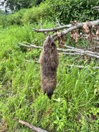 IMG_6069.jpeg