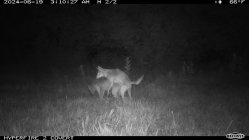 IMG_7975.jpeg