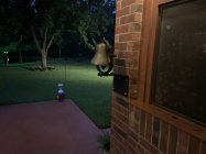 IMG_2921.jpeg