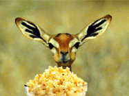 0c4 popcorn gif.gif